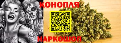 apvp Нальчик