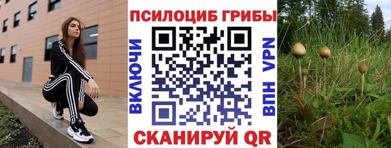 Галлюциногенные грибы MAGIC MUSHROOMS  Усинск 