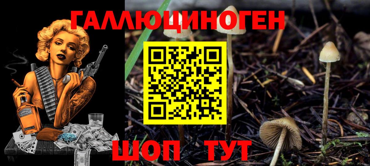 Галлюциногенные грибы MAGIC MUSHROOMS Усинск
